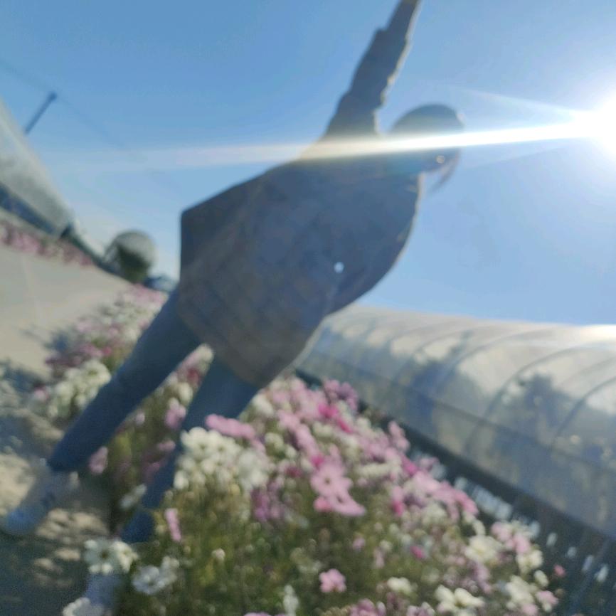 智靖