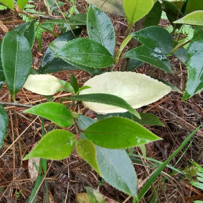 莫问前程