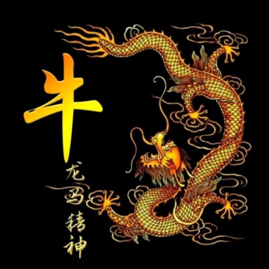 时尚一族大小码男装