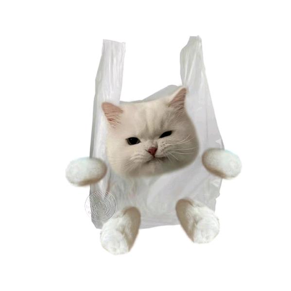 阿黄今天吃饭了吗