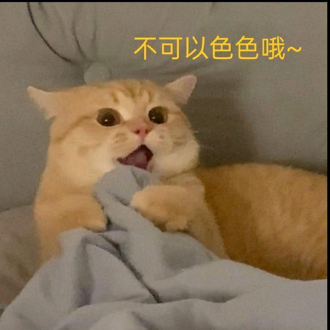 屠夫阿盛