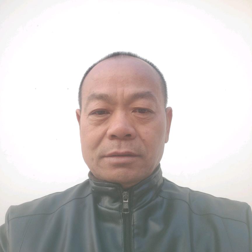叶落归根