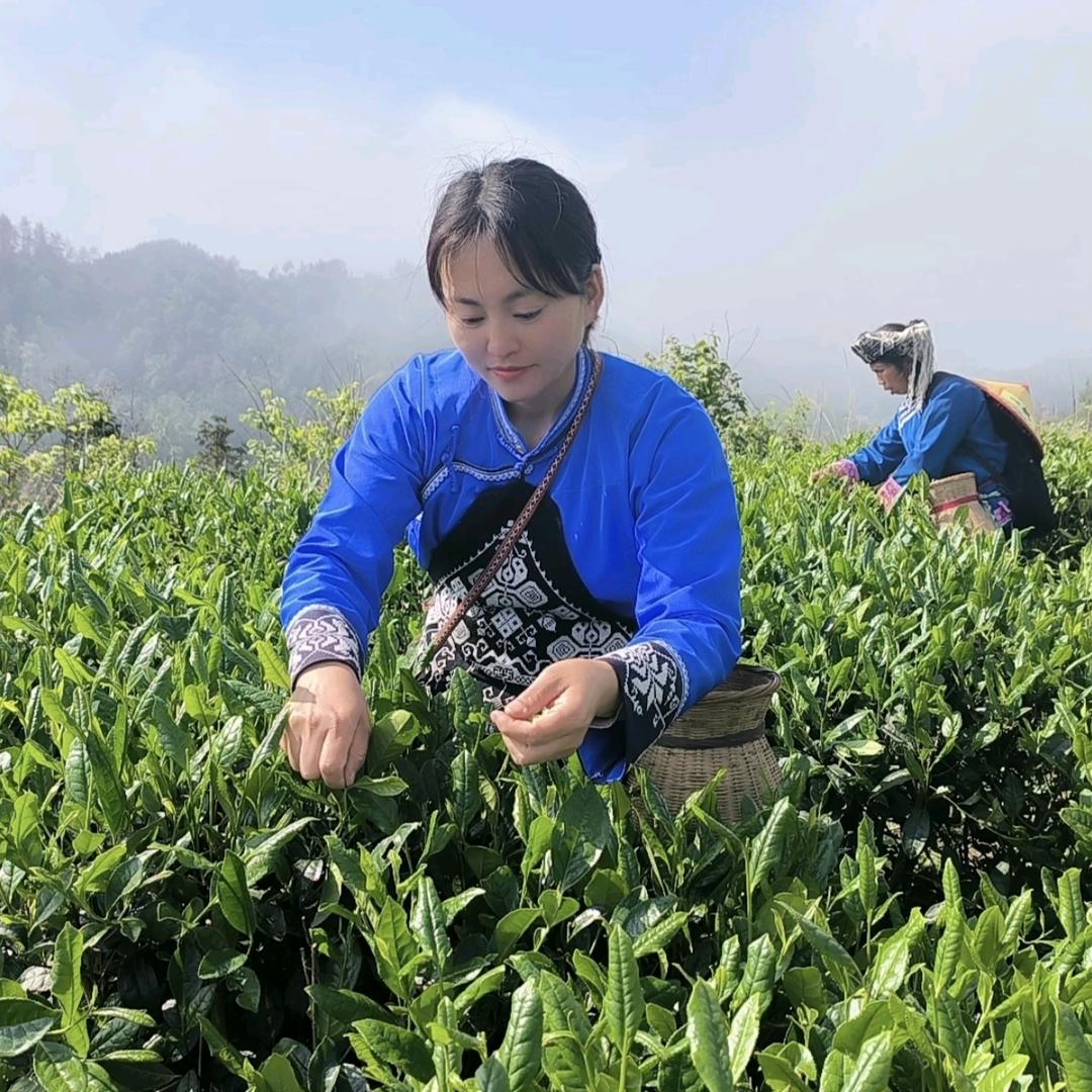 小花的酸菜店