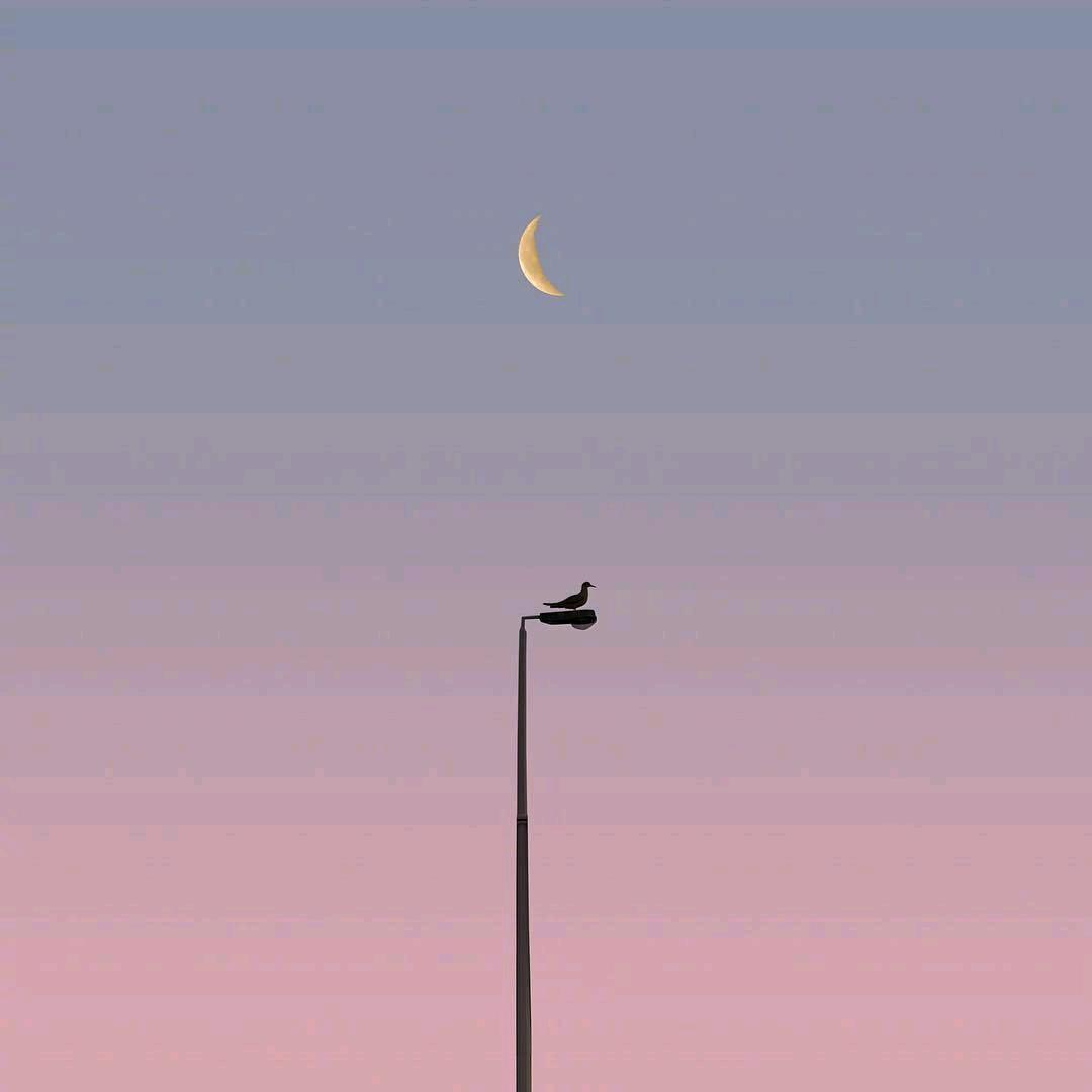 电影