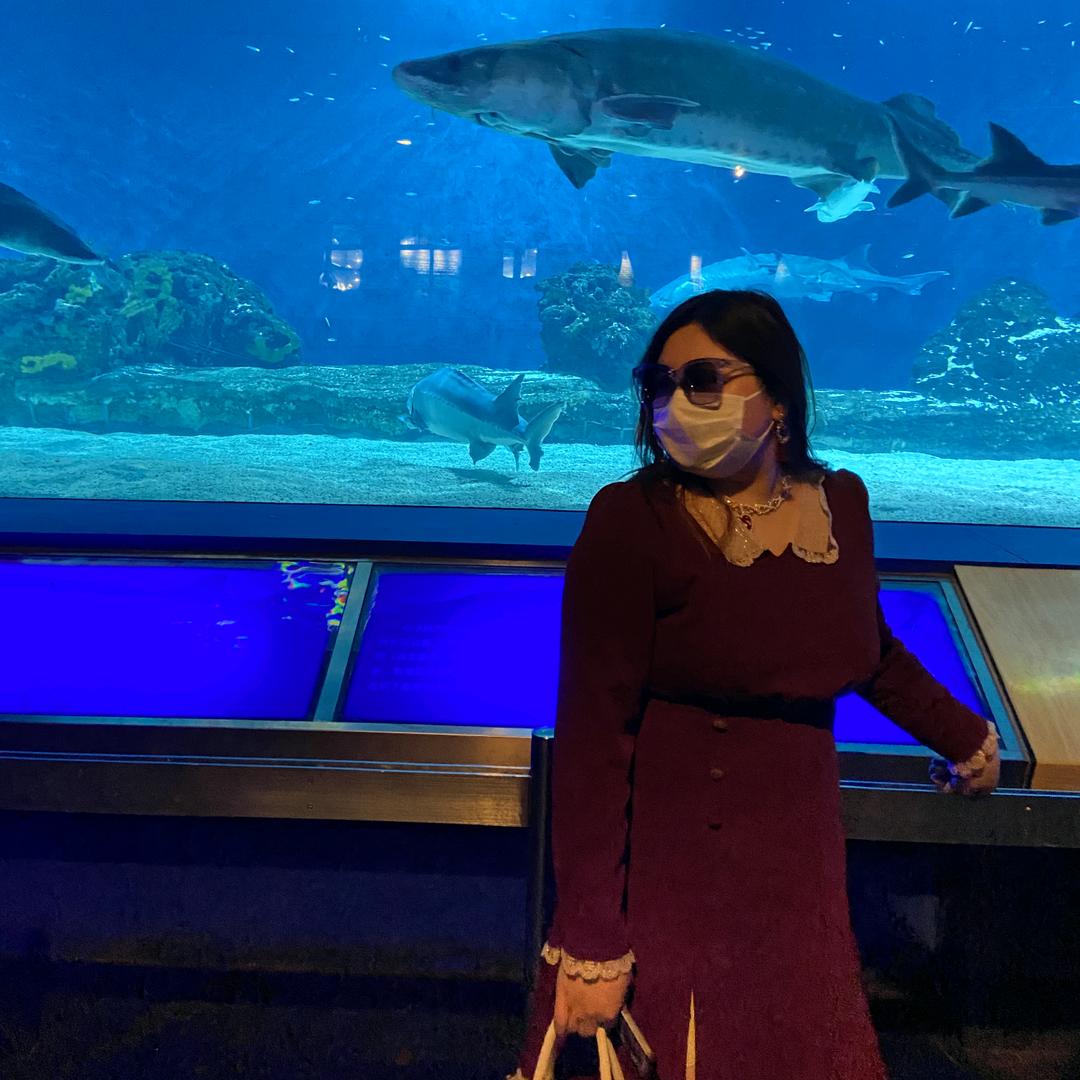 小可爱大曲奇的🦊