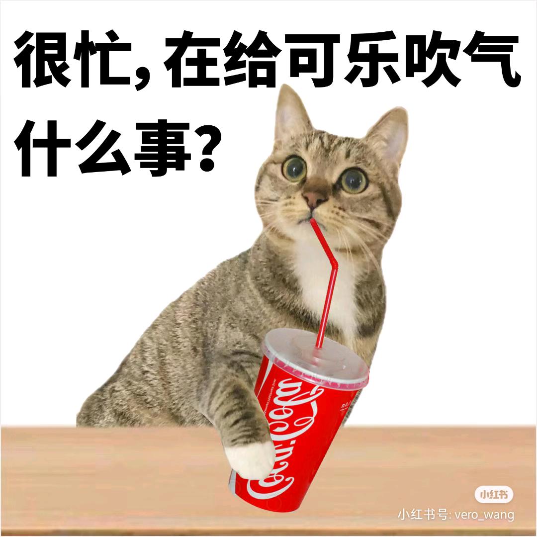 钱都放我兜李女士