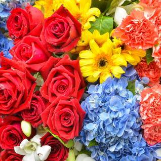 孙保芳