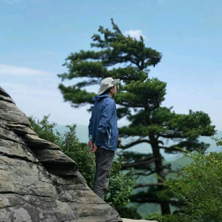 志高