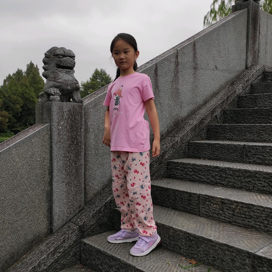 陈年灵芝