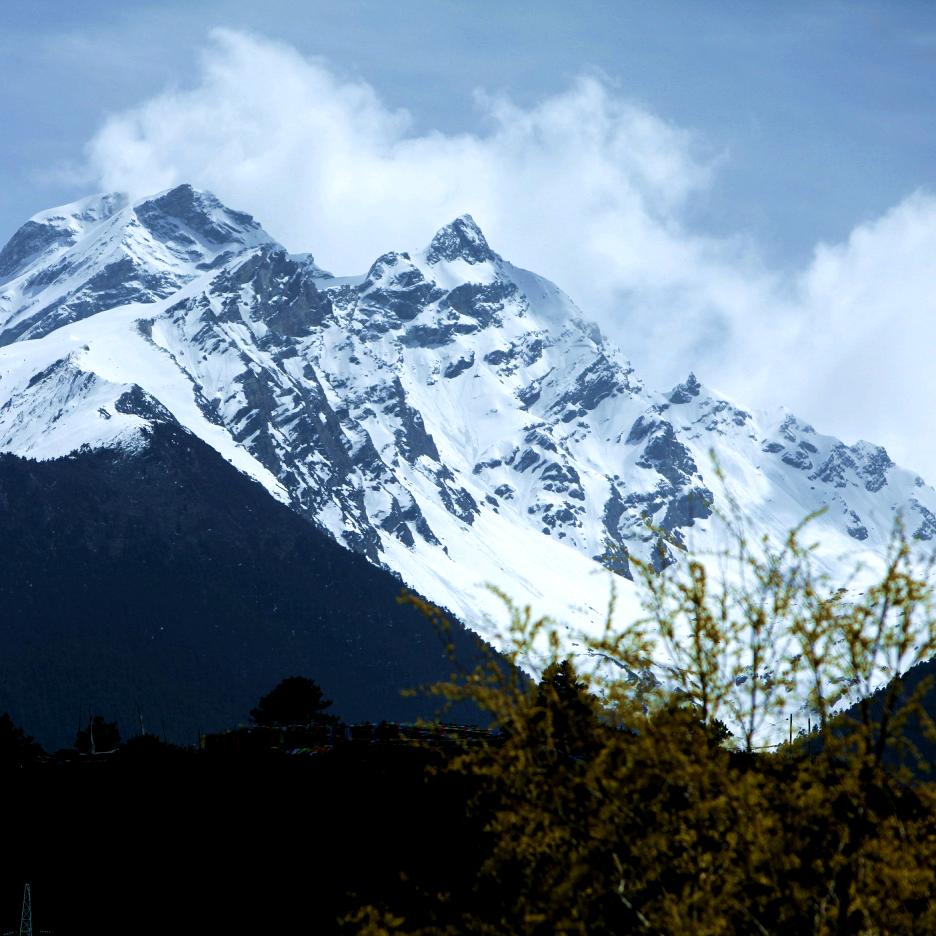 远山禾叶