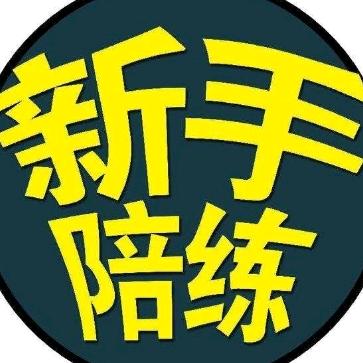 驾无二（重庆）汽车陪练