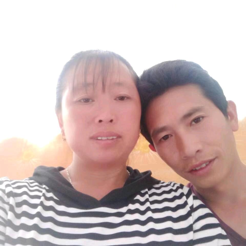 好运莲莲