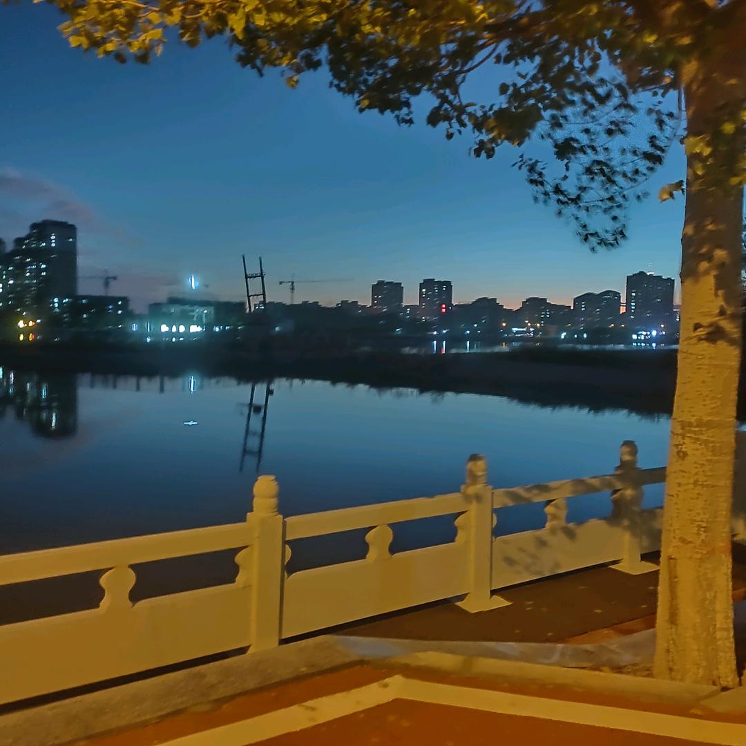 🌴东北杰哥☀☀