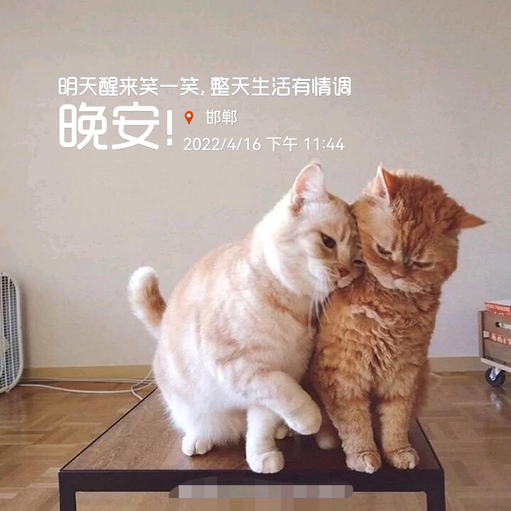 00a阿英😂
