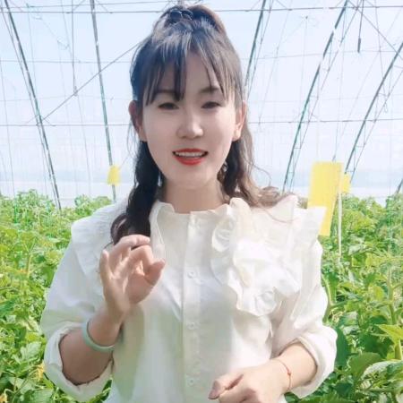 彩耘鸟农业科技最美大姜（小洁）