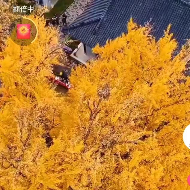 小杨同学棒棒哒