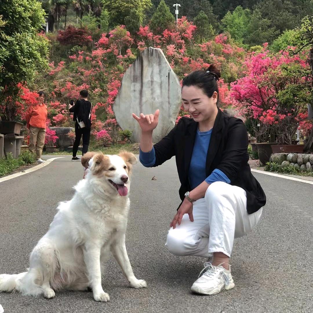 岳西恒信房产