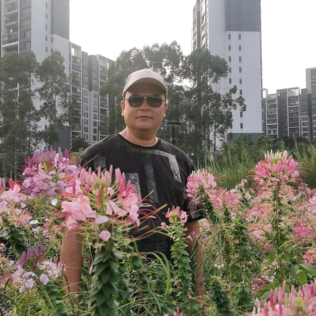 洪洪