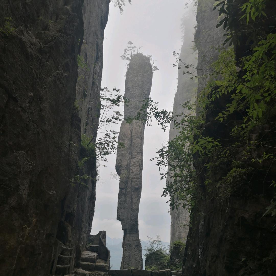 人生要懂得珍惜