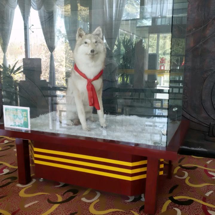 幸福余生