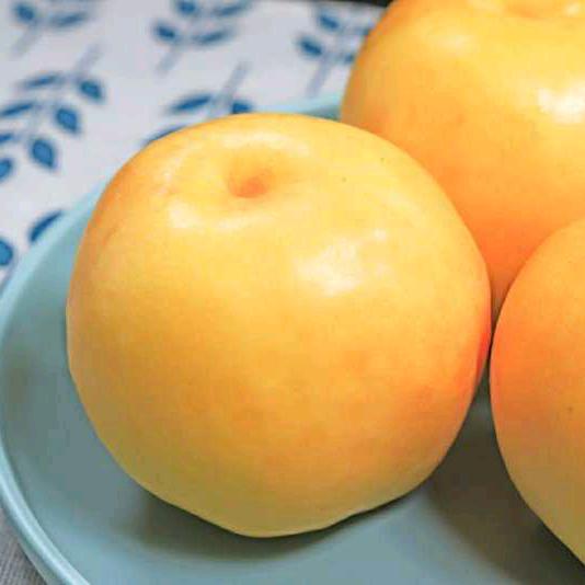 幸福平安一家人