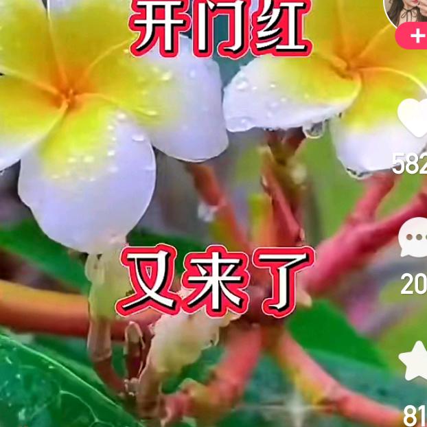 心想事成姜中杰