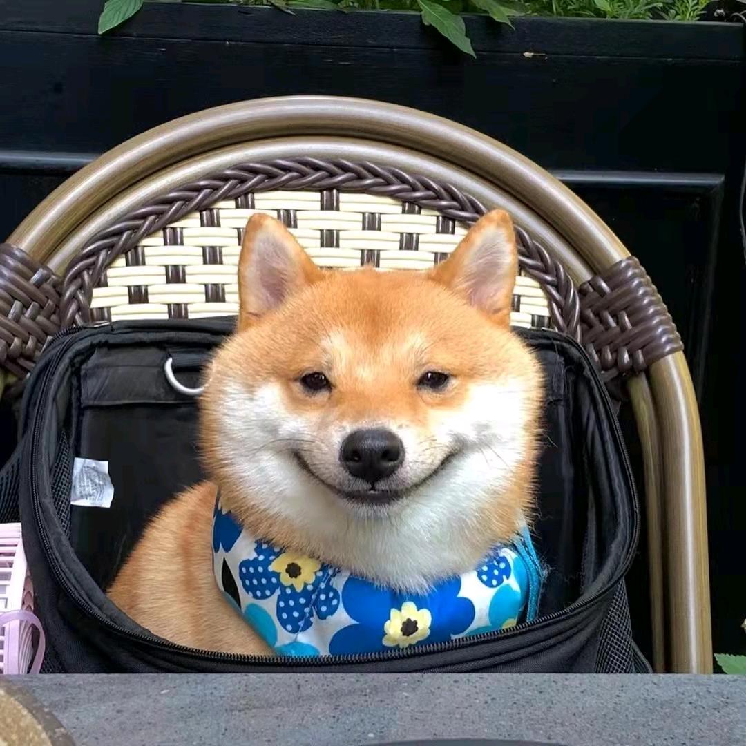北巷卿栀