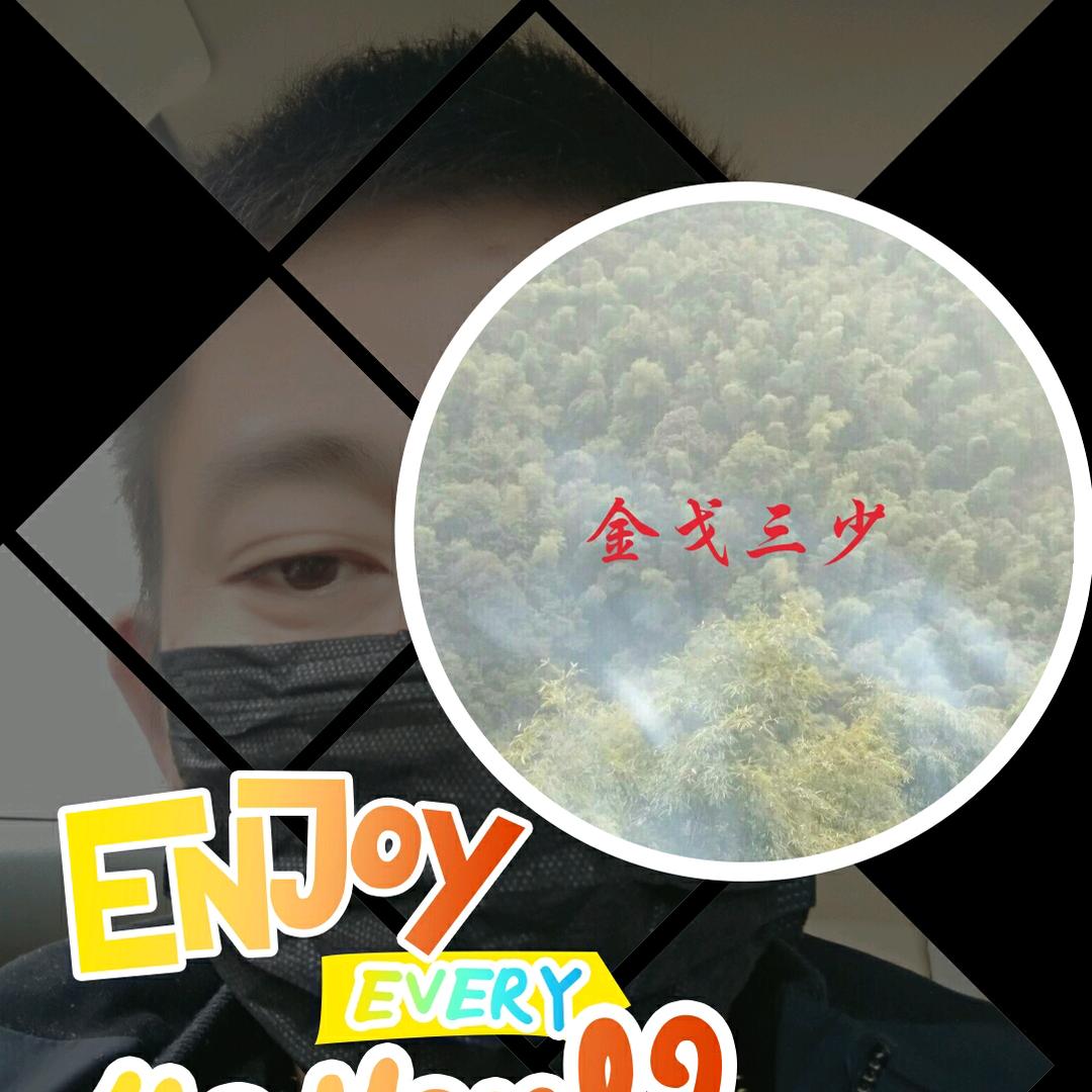 🐲@金戈