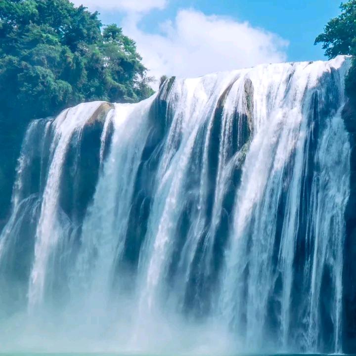 杨小付