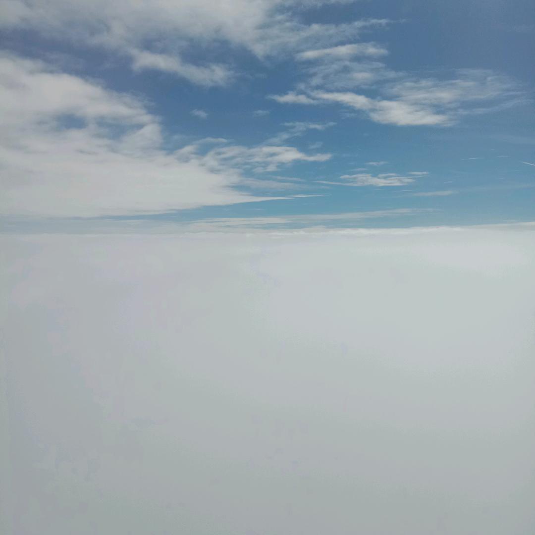 付俊涛