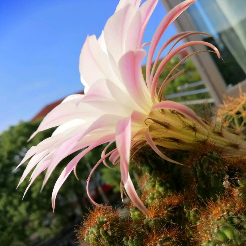 雨过天晴🌈🌈🌈