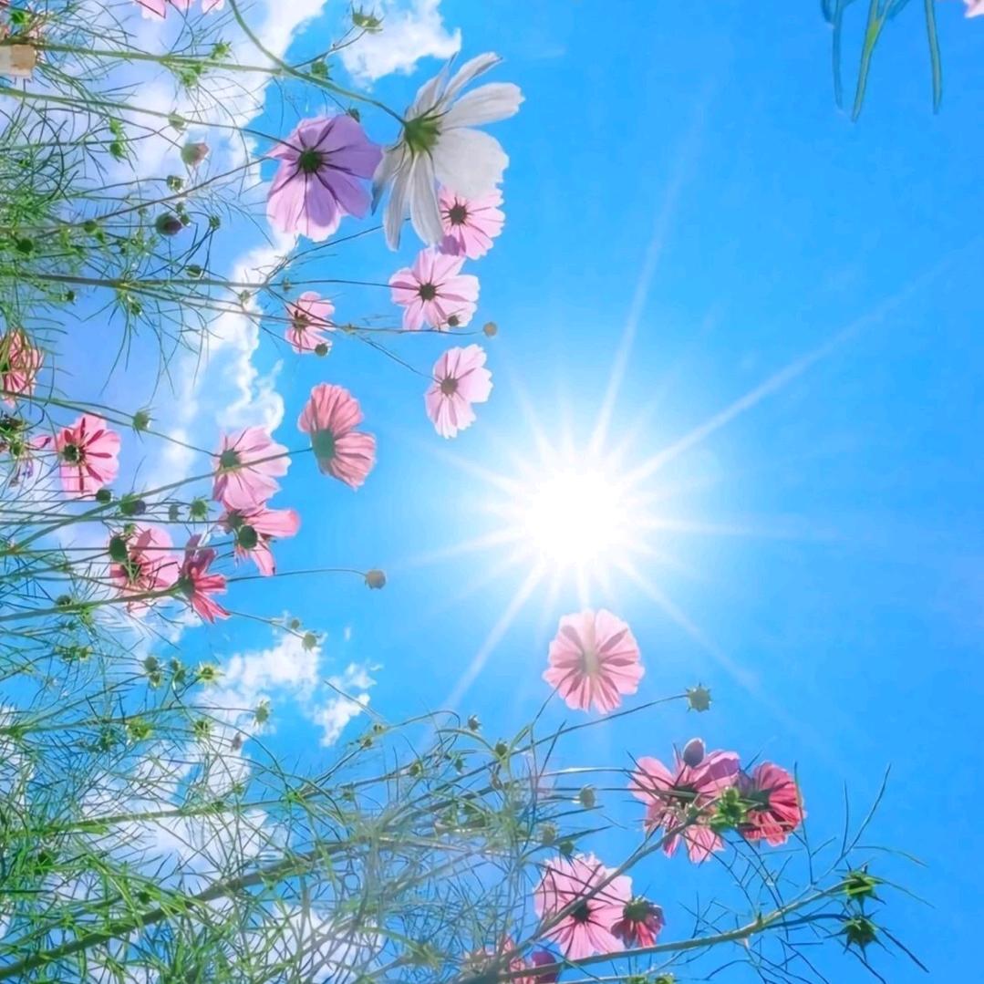 旅途中的风景和美食