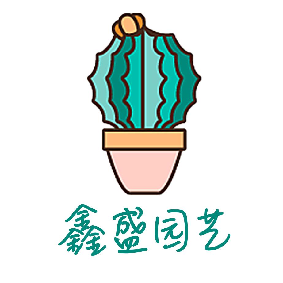 鑫鑫爱玩仙人球（批发零售）