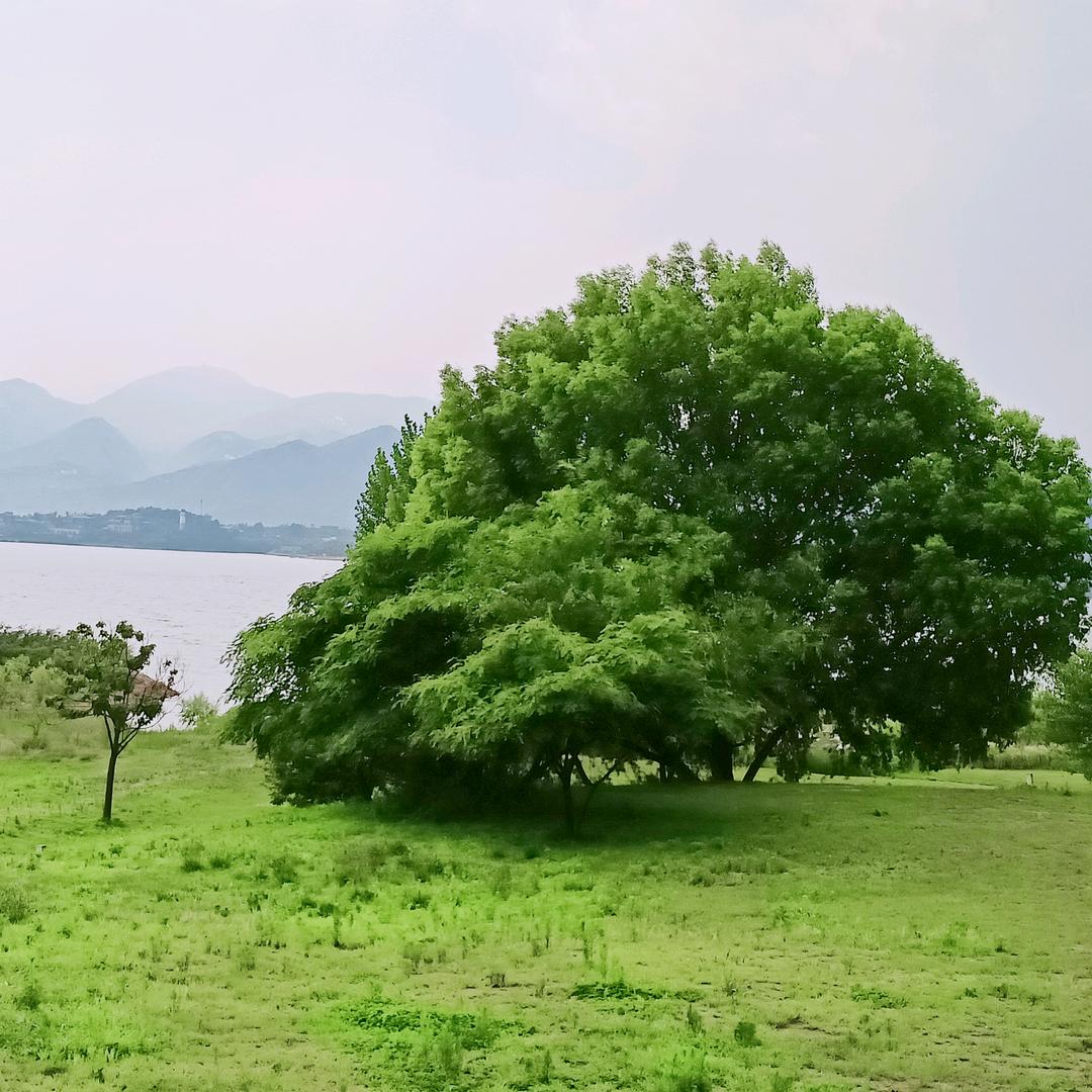 青春配方驿站梦特娇小董同学