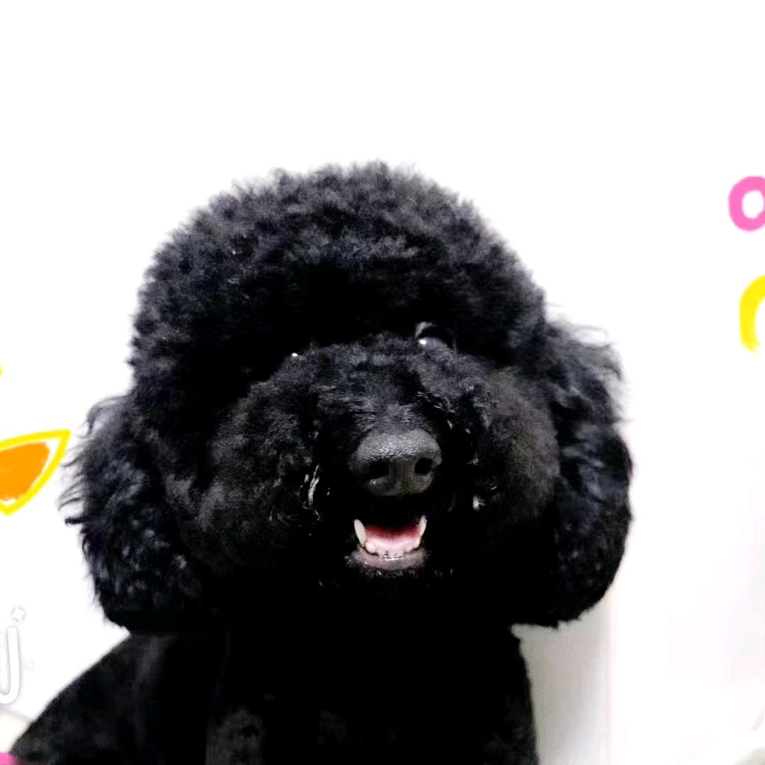咖啡