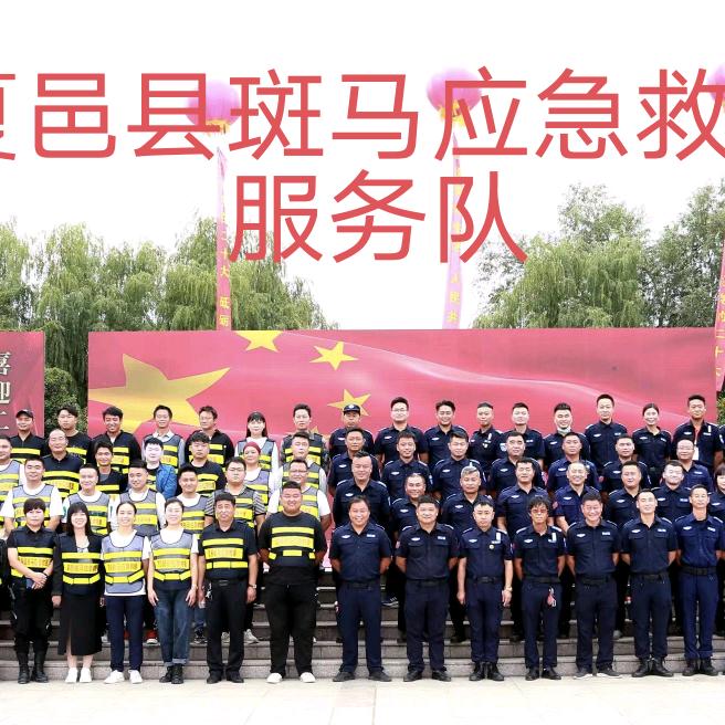 夏邑斑马