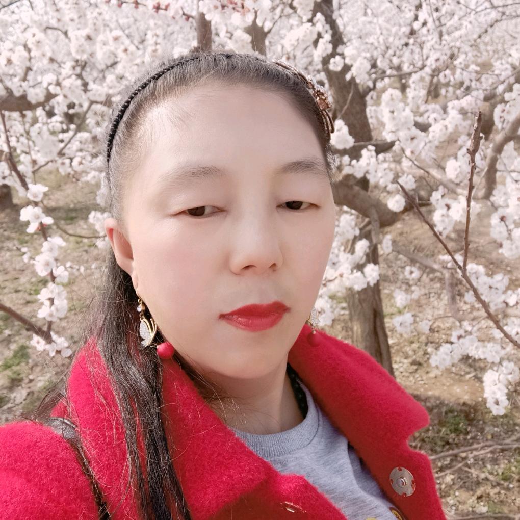 蝶恋花🌹