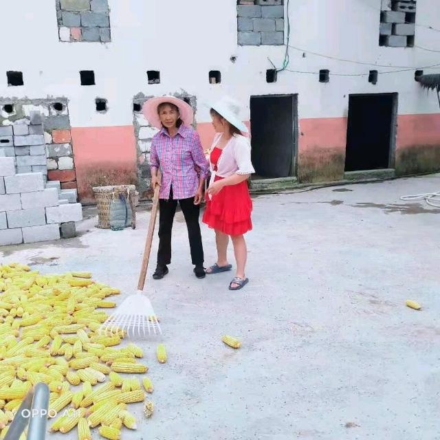 放手也许是一种选择