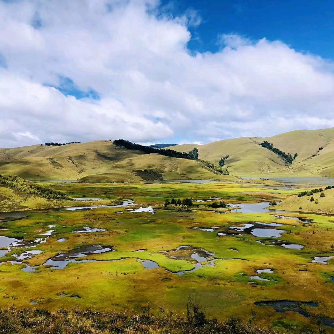 挑战抖音全网关注量最高的人