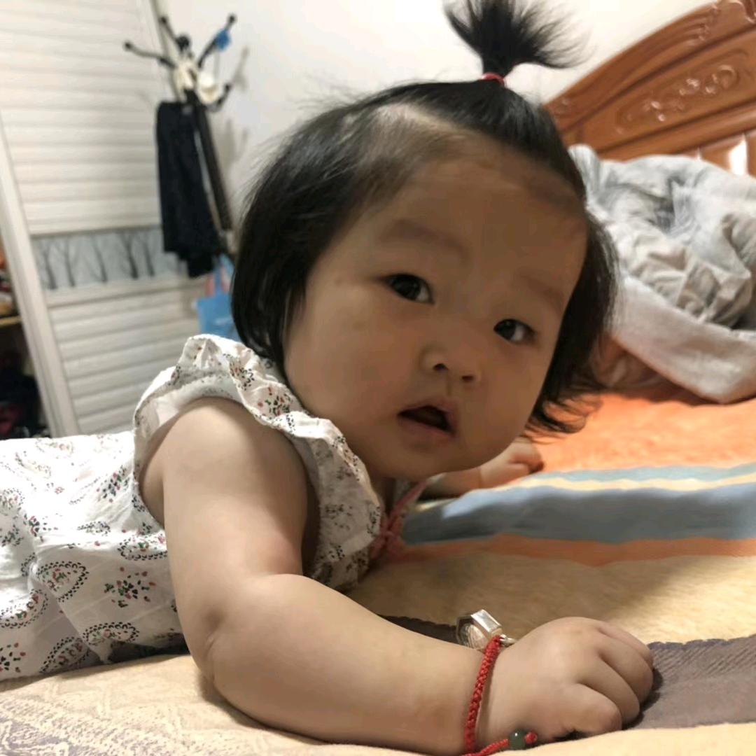 仕菊