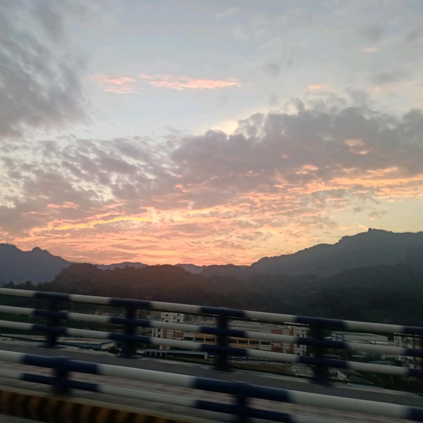 蒋点道李