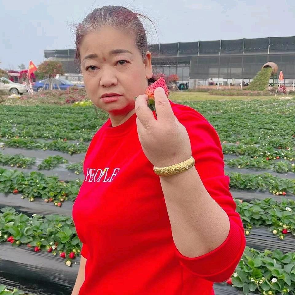 用户2681658221736玉兰花