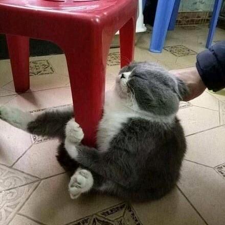 吃不到鱼🐟