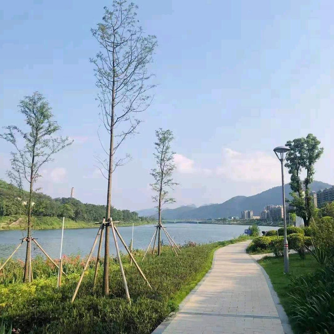 阳山楼盘咨询家丽