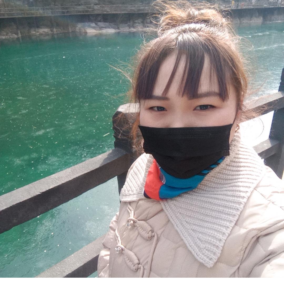 梦