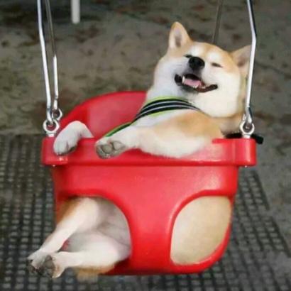 圣旨到