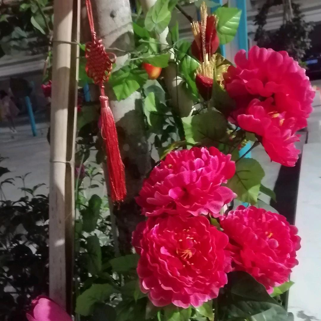 刘琼芳
