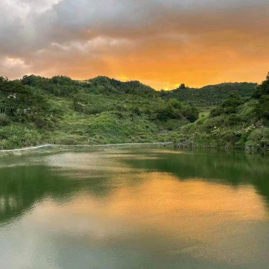 德化✔三班吾坑垅水库钓鱼山庄