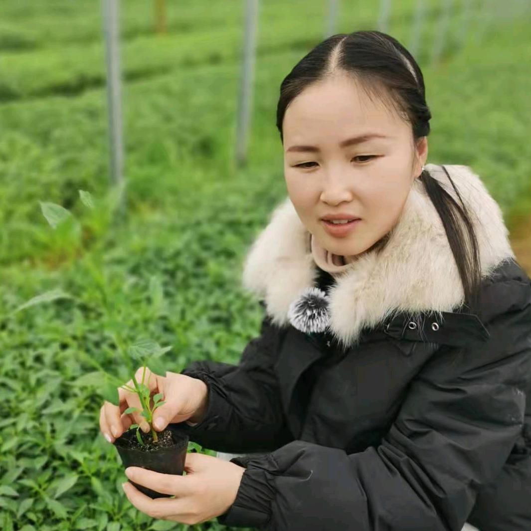 继昌隆农业
