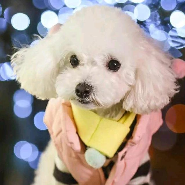 夜💞之恋